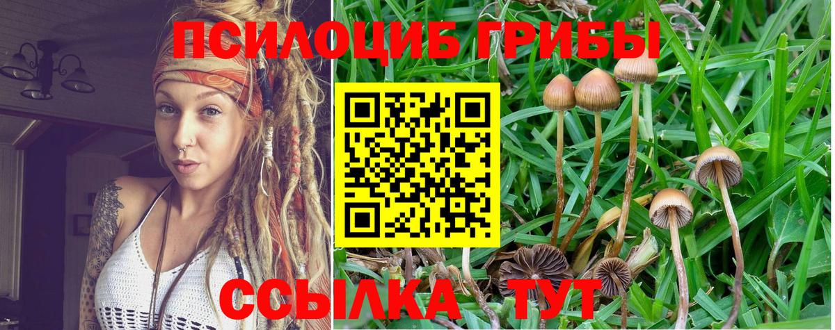 Псилоцибиновые грибы мухоморы Киселёвск