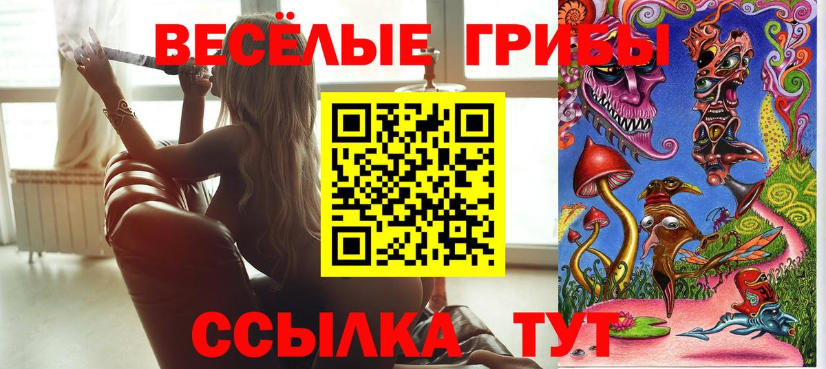 Киселёвск  Галлюциногенные грибы мухоморы  Псилоцибиновые грибы Cubensis  закладки  Вход с VPN 